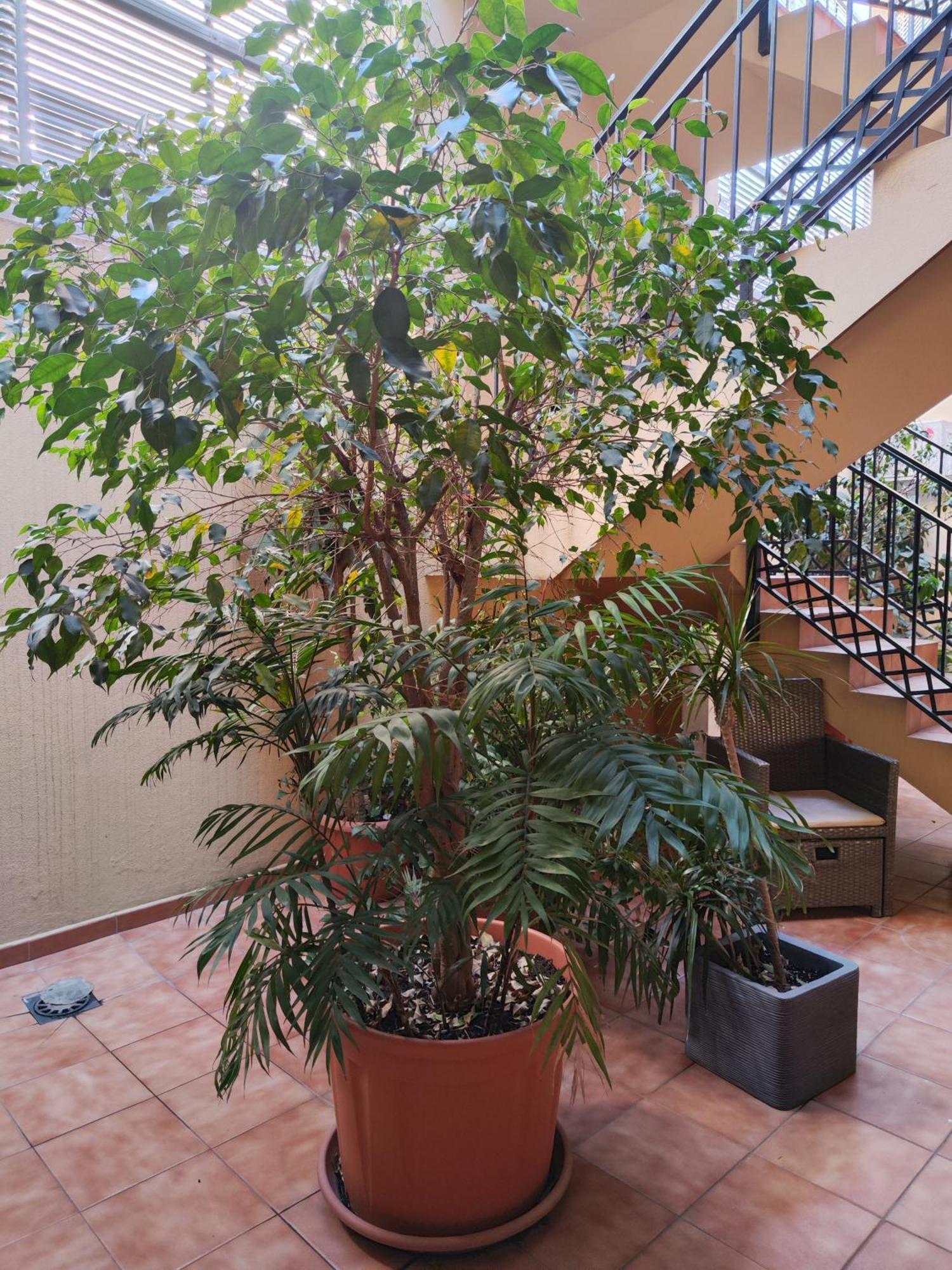 Malaga Experience Apartment Exterior photo