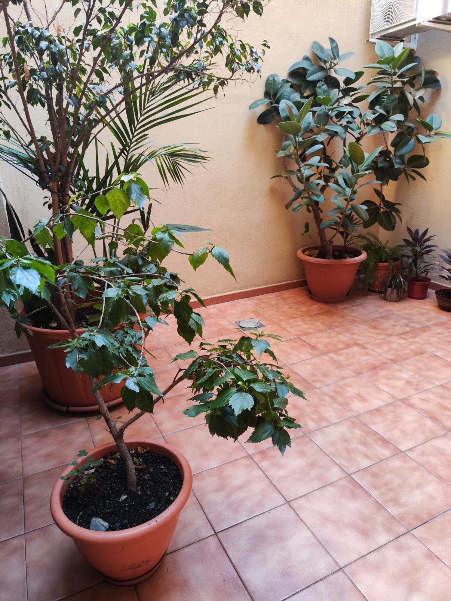 Malaga Experience Apartment Exterior photo